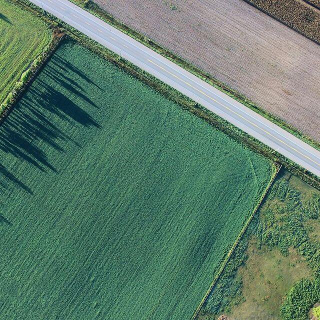 agriculture-1867212_1280(1)(1)